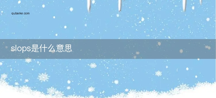 slops是什么意思
