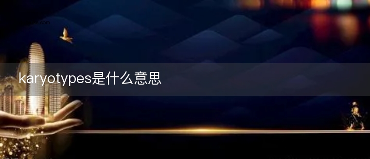 karyotypes是什么意思