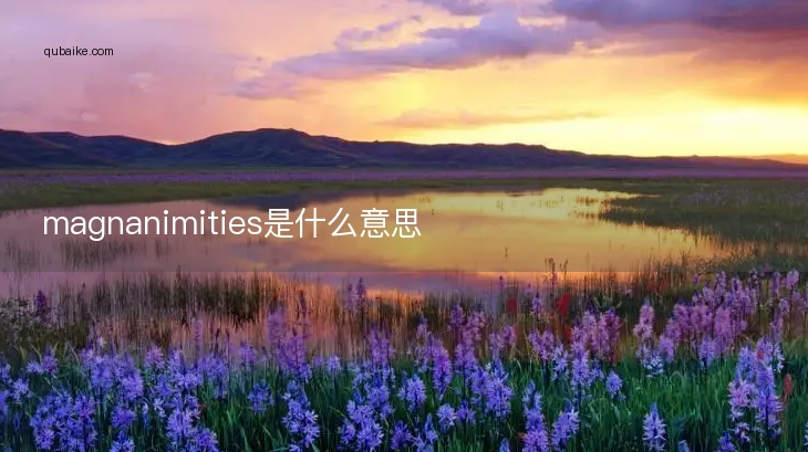 magnanimities是什么意思