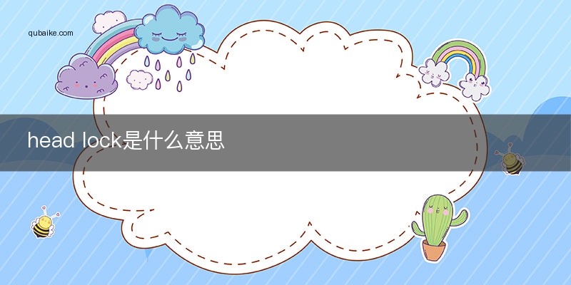 head lock是什么意思
