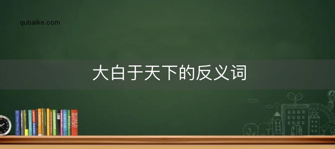 大白于天下的反义词