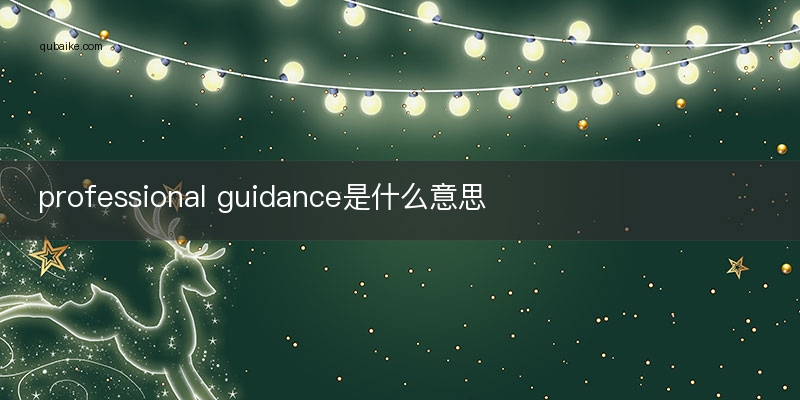 professional guidance是什么意思