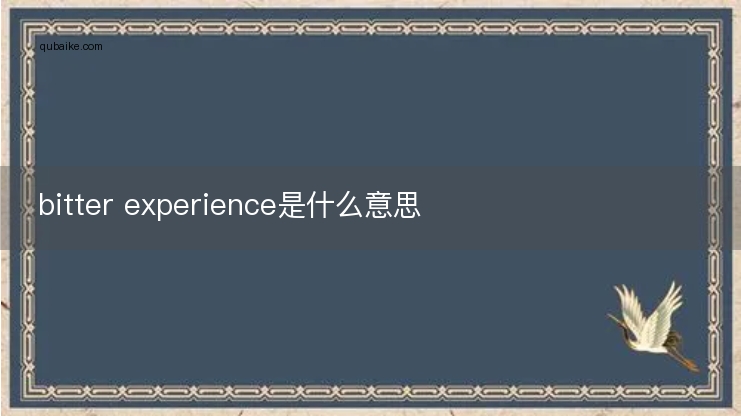 bitter experience是什么意思