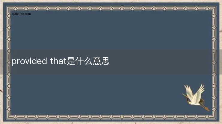 provided that是什么意思