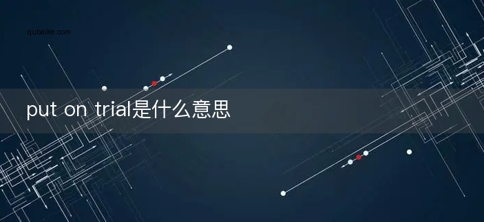 put on trial是什么意思