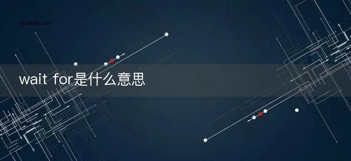 wait for是什么意思