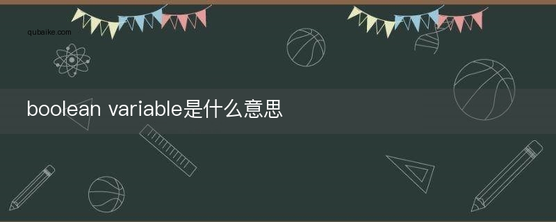 boolean variable是什么意思