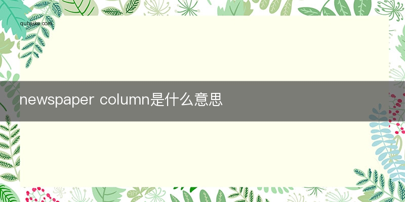 newspaper column是什么意思