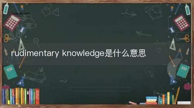 rudimentary knowledge是什么意思