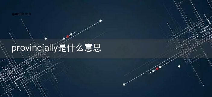 provincially是什么意思