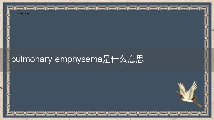 pulmonary emphysema是什么意思