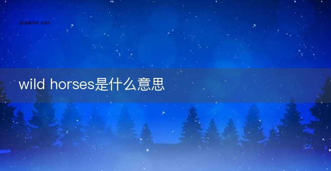 wild horses是什么意思