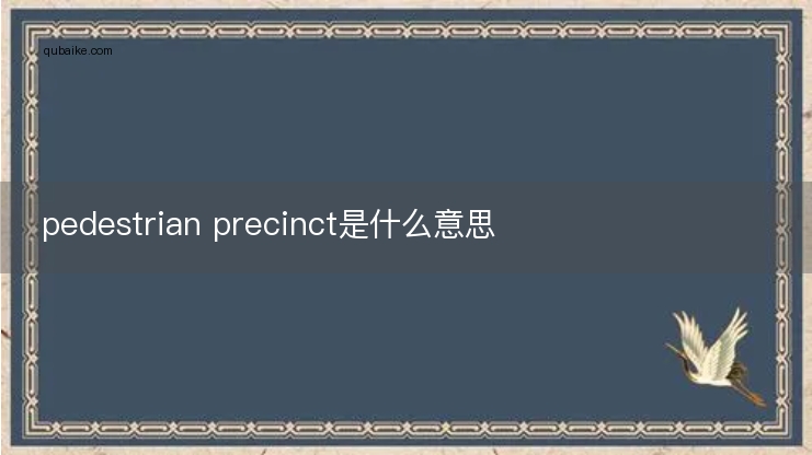 pedestrian precinct是什么意思