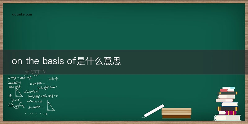 on the basis of是什么意思