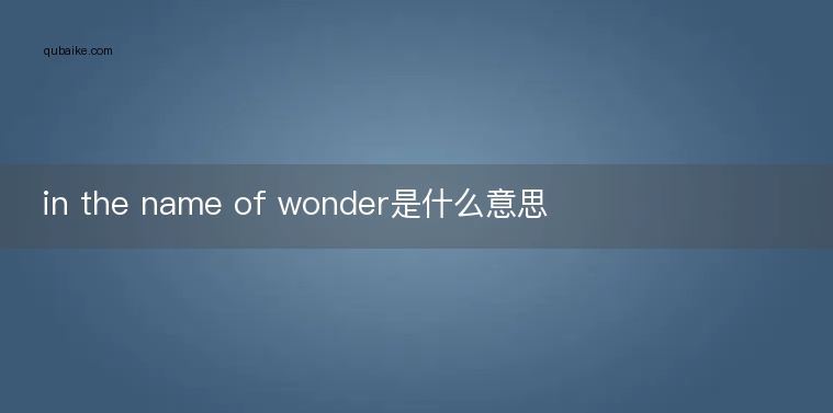 in the name of wonder是什么意思