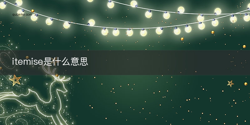 itemise是什么意思