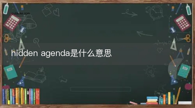 hidden agenda是什么意思