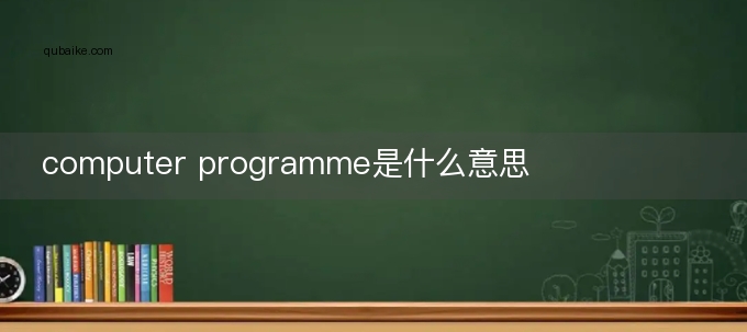 computer programme是什么意思