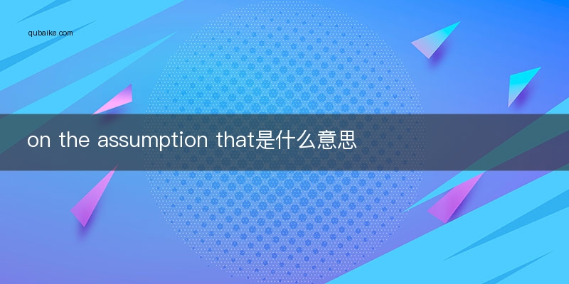 on the assumption that是什么意思