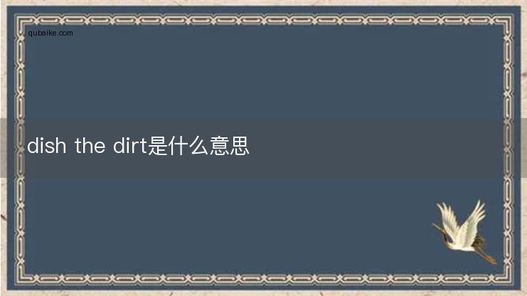 dish the dirt是什么意思