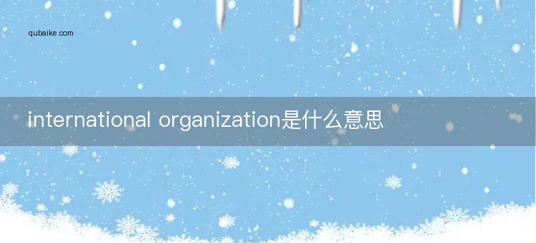 international organization是什么意思