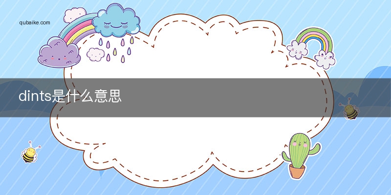 dints是什么意思