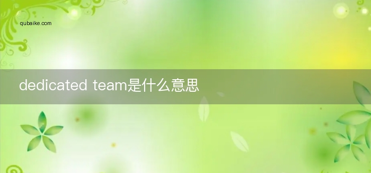 dedicated team是什么意思