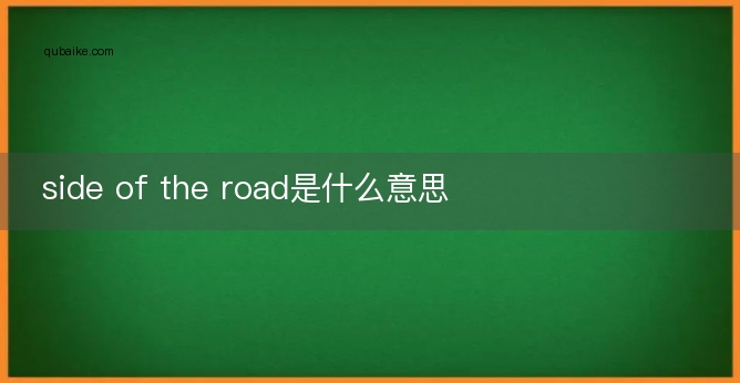 side of the road是什么意思