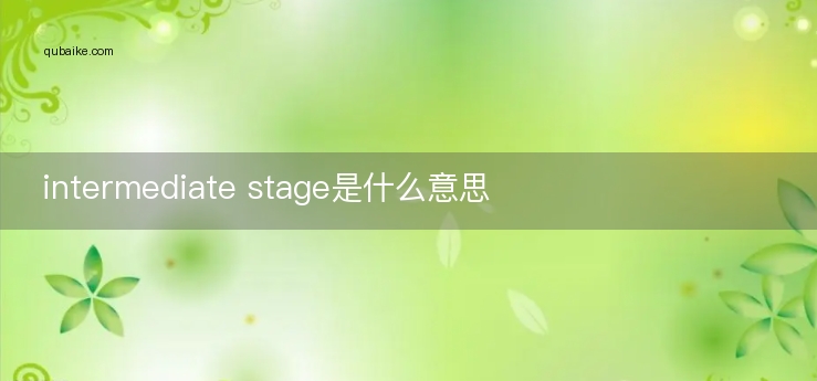 intermediate stage是什么意思