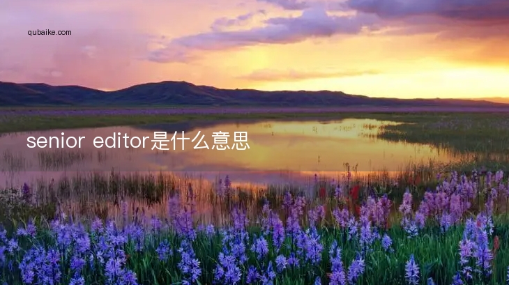 senior editor是什么意思