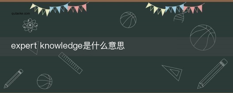 expert knowledge是什么意思