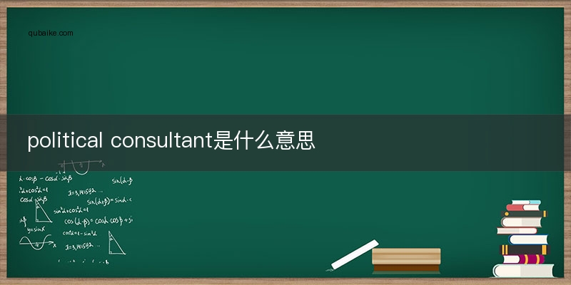 political consultant是什么意思