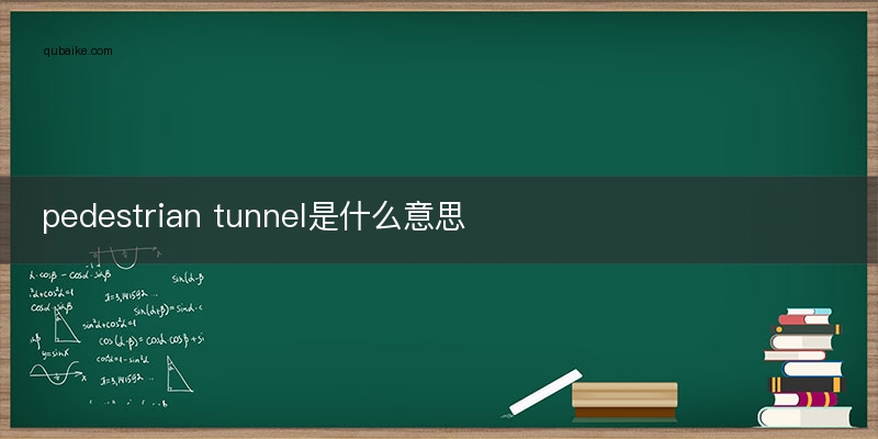 pedestrian tunnel是什么意思