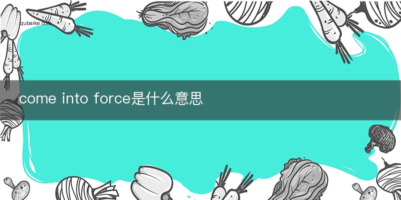 come into force是什么意思