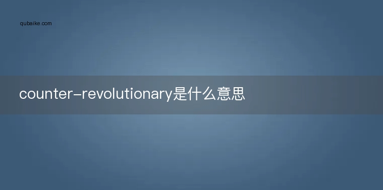 counter-revolutionary是什么意思