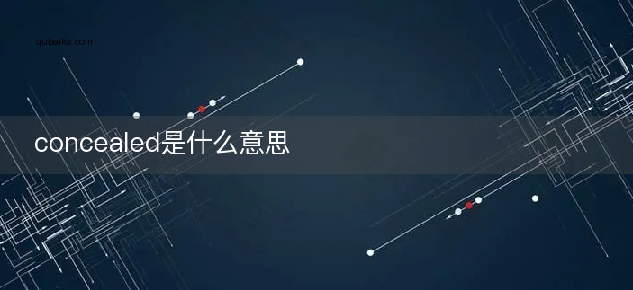 concealed是什么意思