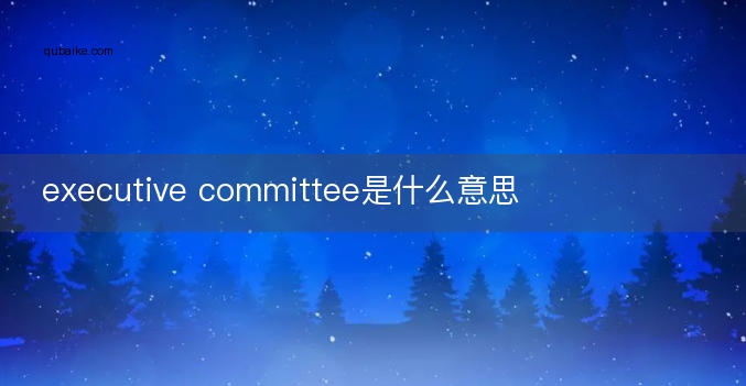 executive committee是什么意思