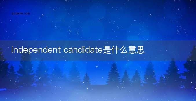 independent candidate是什么意思