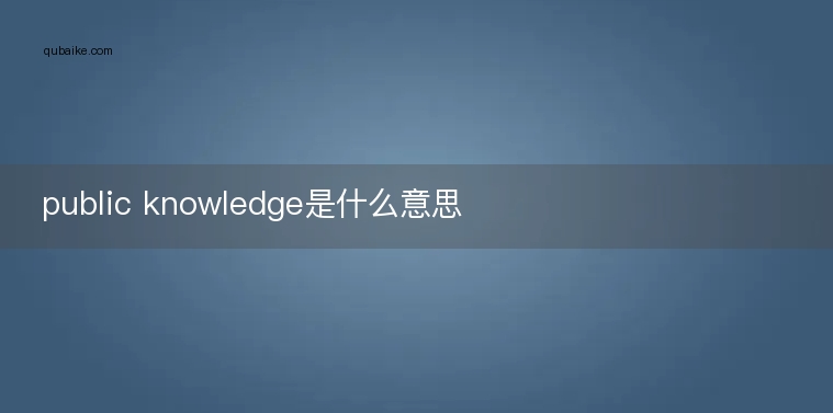 public knowledge是什么意思