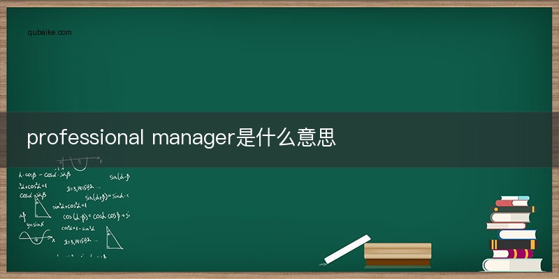 professional manager是什么意思