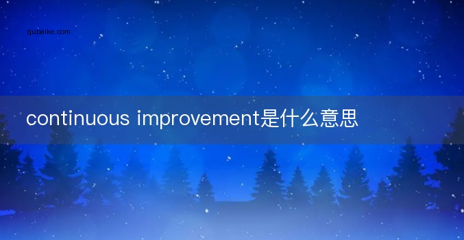 continuous improvement是什么意思