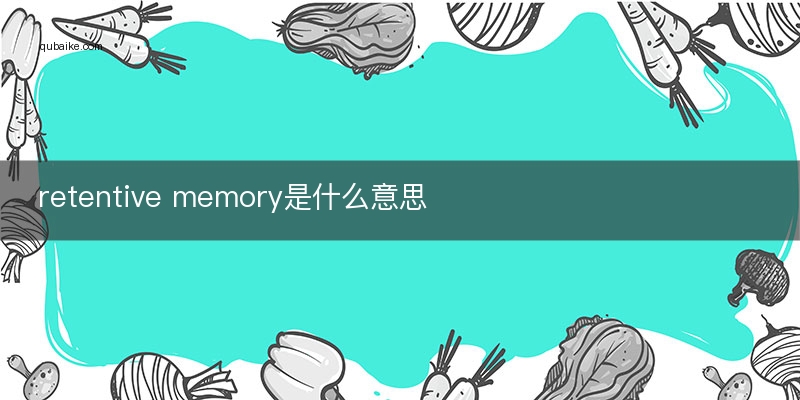 retentive memory是什么意思