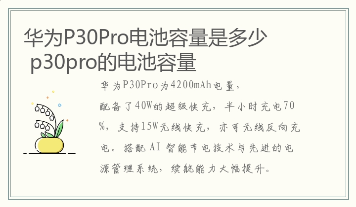 华为P30Pro电池容量是多少？