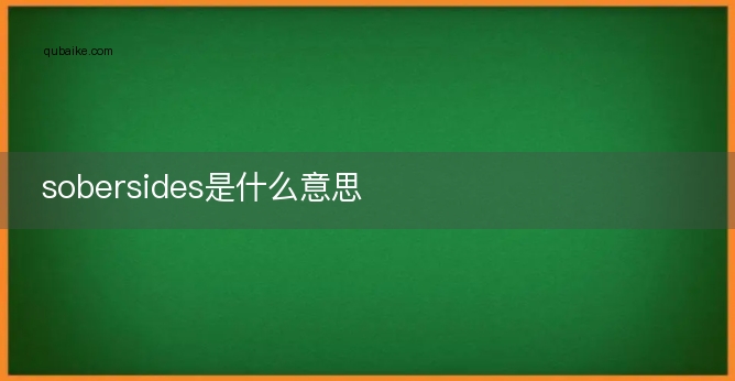 sobersides是什么意思