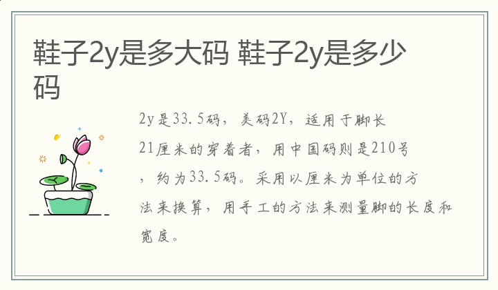 鞋子2y是多大码 鞋子2y是多少码