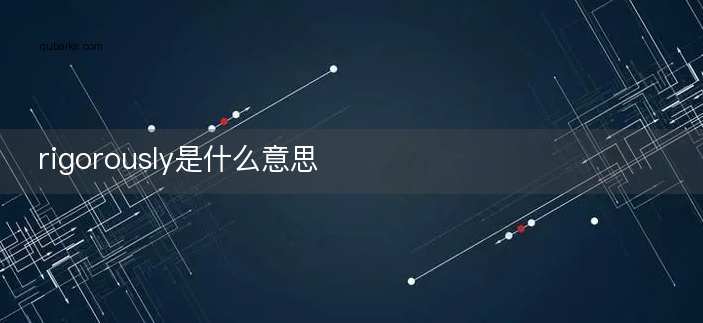 rigorously是什么意思