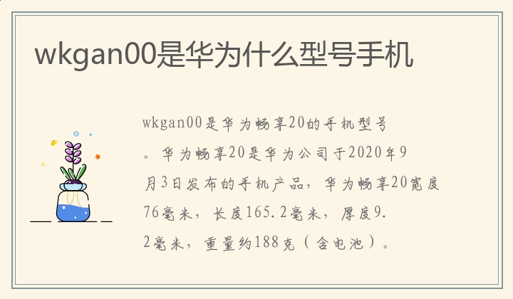 wkgan00是华为什么型号手机