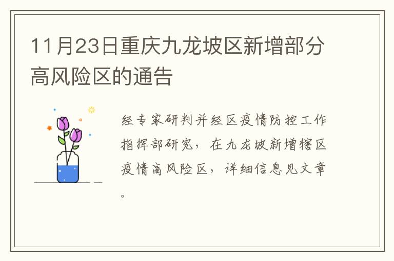 11月23日重庆九龙坡区新增部分高风险区的通告