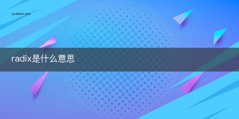 radix是什么意思