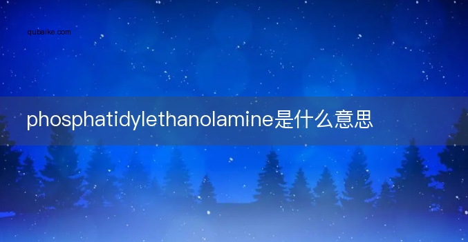 phosphatidylethanolamine是什么意思